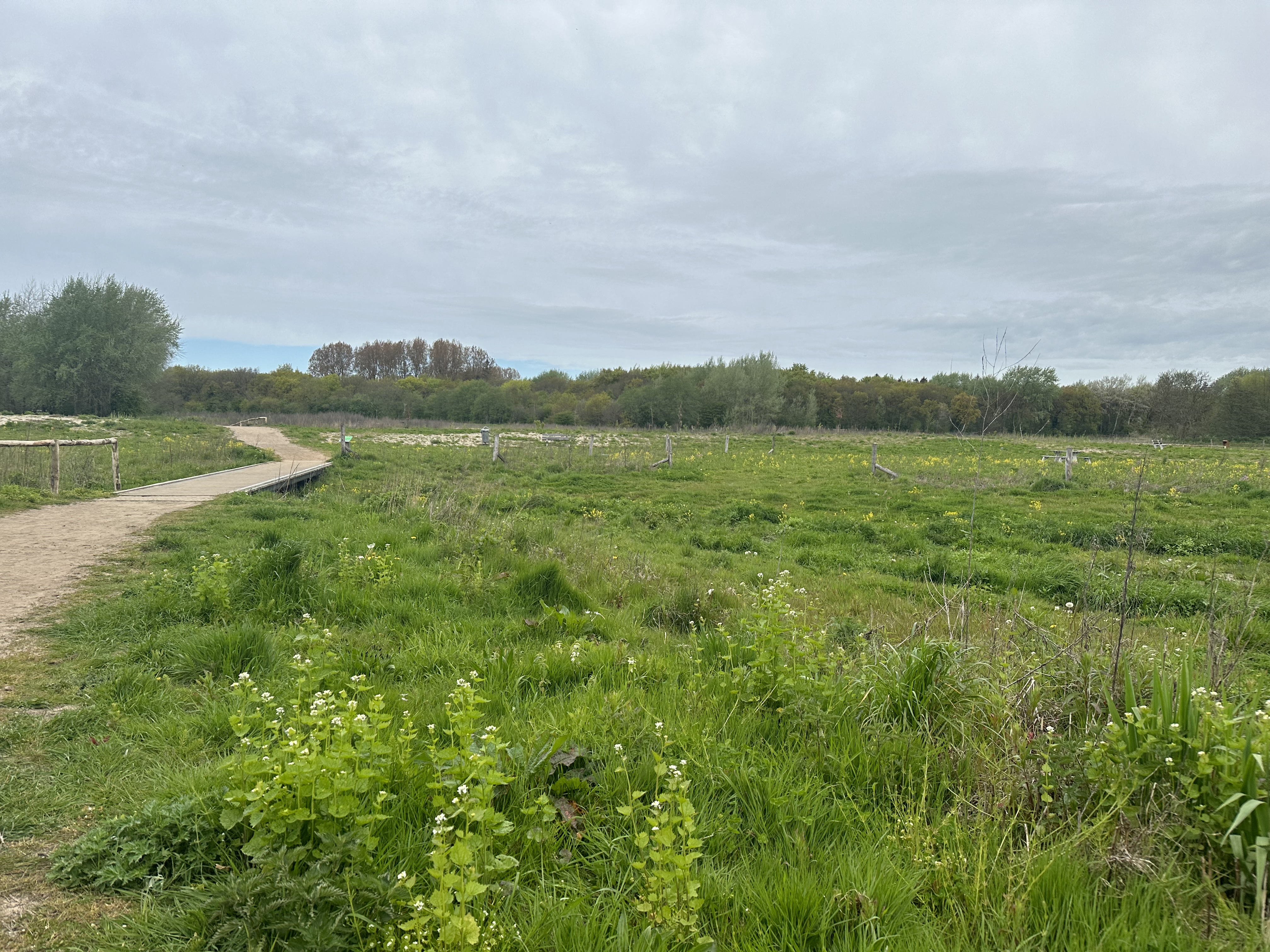 Citizen Science foto 3 voor locatie 3